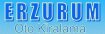 Erzurum Oto Kiralama