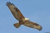 ÖZYILMAZ OTO LİRALAMA